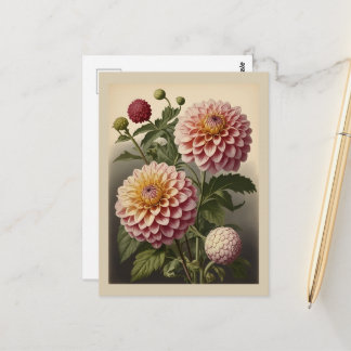 Carte Postale Vintage illustration of a Dahlia