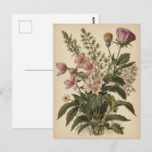 Carte Postale Vintage Illustration of Wildflowers (Devant / Derrière)