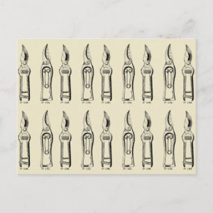 Carte Postale VINTAGE ILLUSTRATION Outils de jardinage Pruners 2