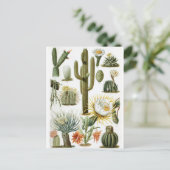 Carte postale vintage illustrée de cactus botaniqu (Debout devant)