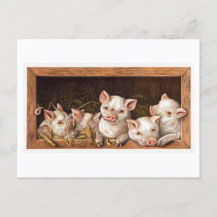Carte postale vintage illustrée par un porcelet