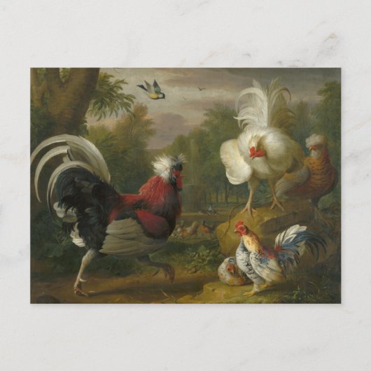 Carte Postale Vintage Jakob Bogdani Les Cockrels combattent (Devant)