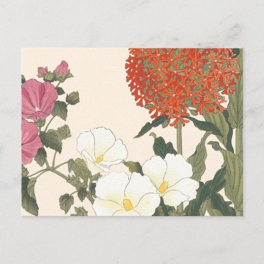 Carte Postale Vintage japonais Floral Ornamental Allium Flower (Devant)
