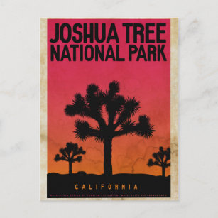 Carte postale vintage Joshua Tree Sunset Travel
