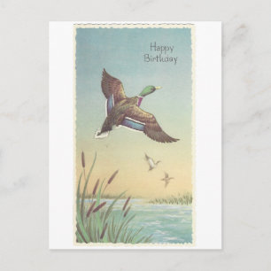 Carte Postale Vintage Joyeux Anniversaire Mallard