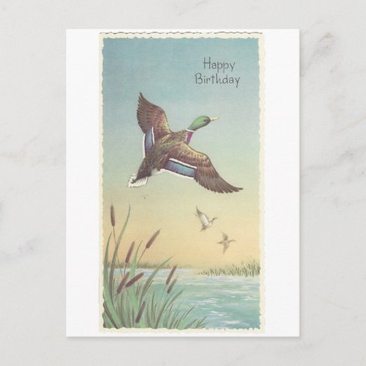 Carte Postale Vintage Joyeux Anniversaire Mallard (Devant)