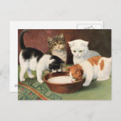 Carte Postale Vintage Katzen und Milch (Devant / Derrière)