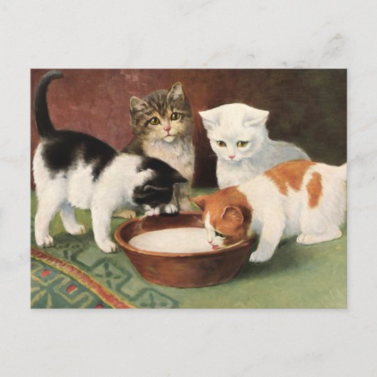 Carte Postale Vintage Katzen und Milch (Devant)