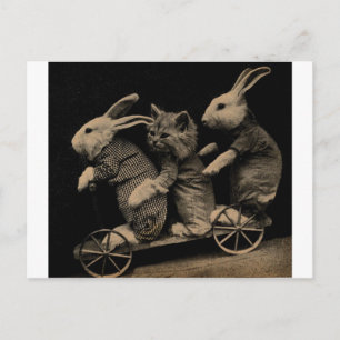 Carte Postale Vintage Kitten et Bunny Funny photo