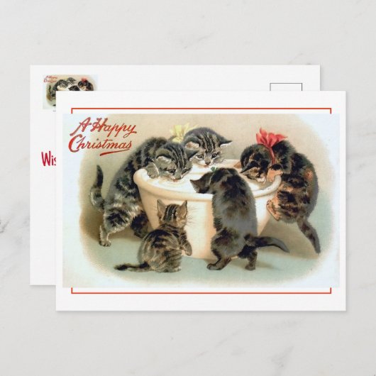 Carte Postale Vintage Kitten Fun (Devant / Derrière)