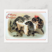 Carte Postale Vintage Kitten Fun (Devant)