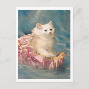 Carte Postale Vintage Kitty