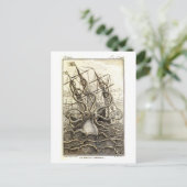Carte postale vintage Kraken / Octopus géant (Debout devant)