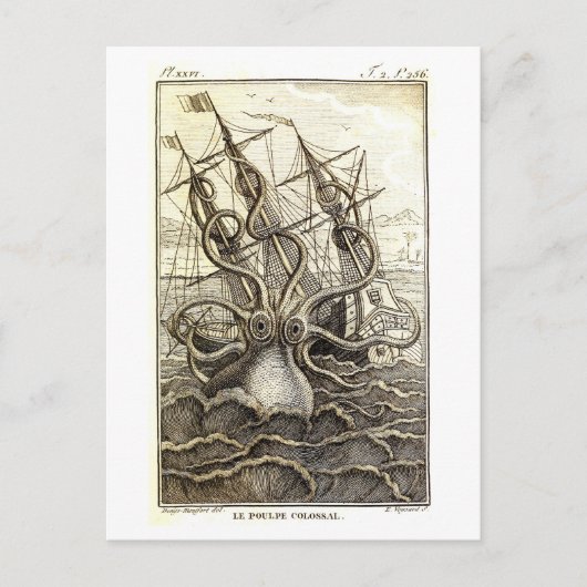 Carte postale vintage Kraken / Octopus géant (Devant)