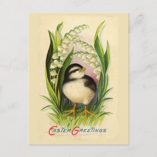 Carte postale Vintage Little Easter Bird (Devant)