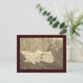 Carte postale Vintage Machu Picchu (Debout devant)