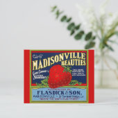 Carte postale vintage Madisonville LA Strawberry C (Debout devant)