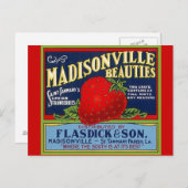 Carte postale vintage Madisonville LA Strawberry C (Devant / Derrière)