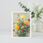 Carte postale vintage Marigold (Debout devant)