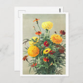 Carte postale vintage Marigold (Devant / Derrière)