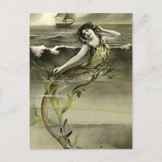 Carte Postale Vintage mermaid picture postcard (Devant)