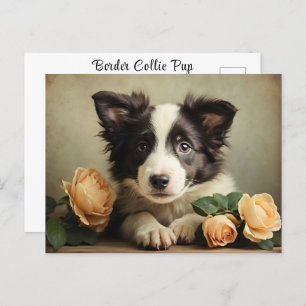 Carte Postale Vintage mignon Bordure Collie Rose Portrait Chien