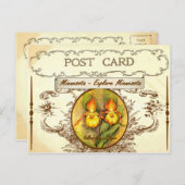 Carte postale vintage Minnesota State Flower (Devant / Derrière)