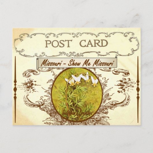 Carte postale vintage Missouri State Flower (Devant)