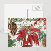 Carte postale vintage moderne du jardin d'hiver (Devant / Derrière)