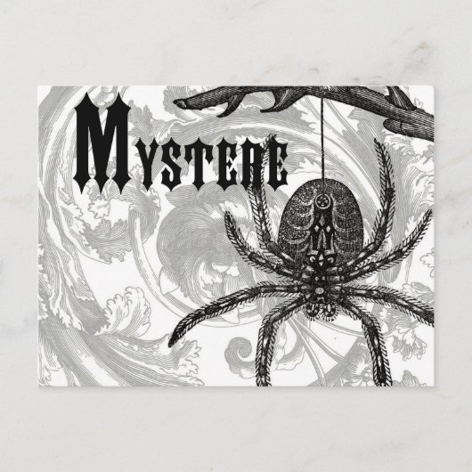 Carte Postale vintage moderne halloween tarantula (Devant)