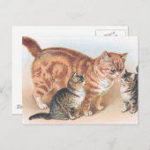 Carte Postale vintage "Momma Cat" (Devant / Derrière)