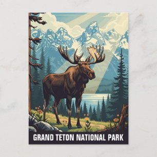 Carte Postale Vintage Moose au Parc national de Grand Teton