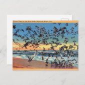Carte Postale Vintage, Mouettes, Plage Rehoboth, Delaware (Devant / Derrière)