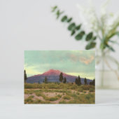 Carte Postale Vintage Mount Shasta (Debout devant)