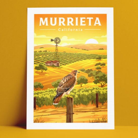 Carte Postale Vintage Murrieta Californie
