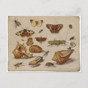 Carte Postale Vintage Nature