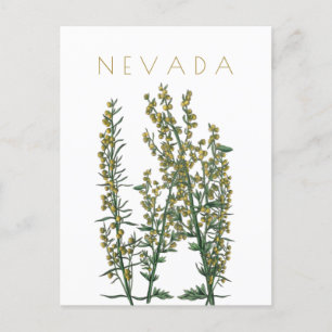 Carte Postale Vintage Nevada État fleur Voyage du milieu du sièc