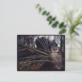 Carte Postale Vintage Night Owl Rackham (Debout devant)
