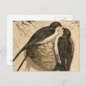 Carte Postale Vintage noir blanc mignon Inséparables peinture (Devant / Derrière)