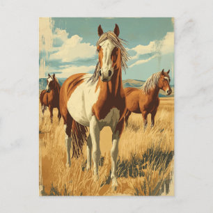 Carte Postale Vintage North America