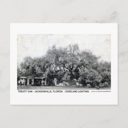 Carte postale vintage Oak Jacksonville Florida (Devant)