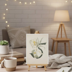 Carte Postale Vintage Ottilia Adelborg Fleur Numéro - 5