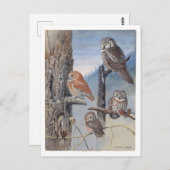 Carte postale Vintage Owl (Devant / Derrière)