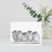 Carte Postale Vintage Owls (Debout devant)