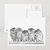 Carte Postale Vintage Owls (Devant / Derrière)