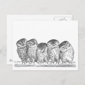 Carte Postale Vintage Owls (Devant / Derrière)