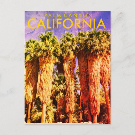 Carte postale vintage Palm Canyon Travel (Devant)