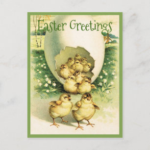 Carte Postale Vintage Pâques Salutations poussins