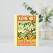 Carte postale vintage Paquet Firecracker (Debout devant)