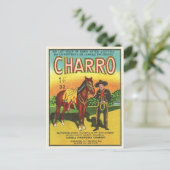 Carte postale vintage Paquet Firecracker (Debout devant)